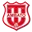 Técnico Universitario